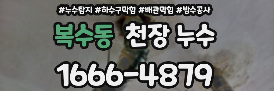 복수동 천장 누수