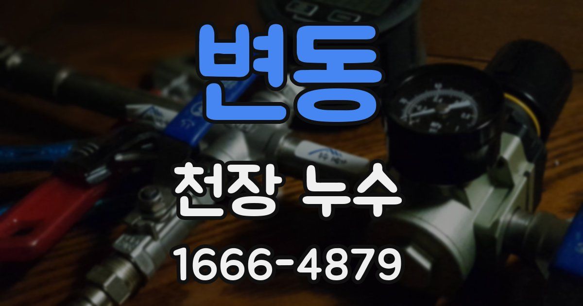 변동 천장 누수