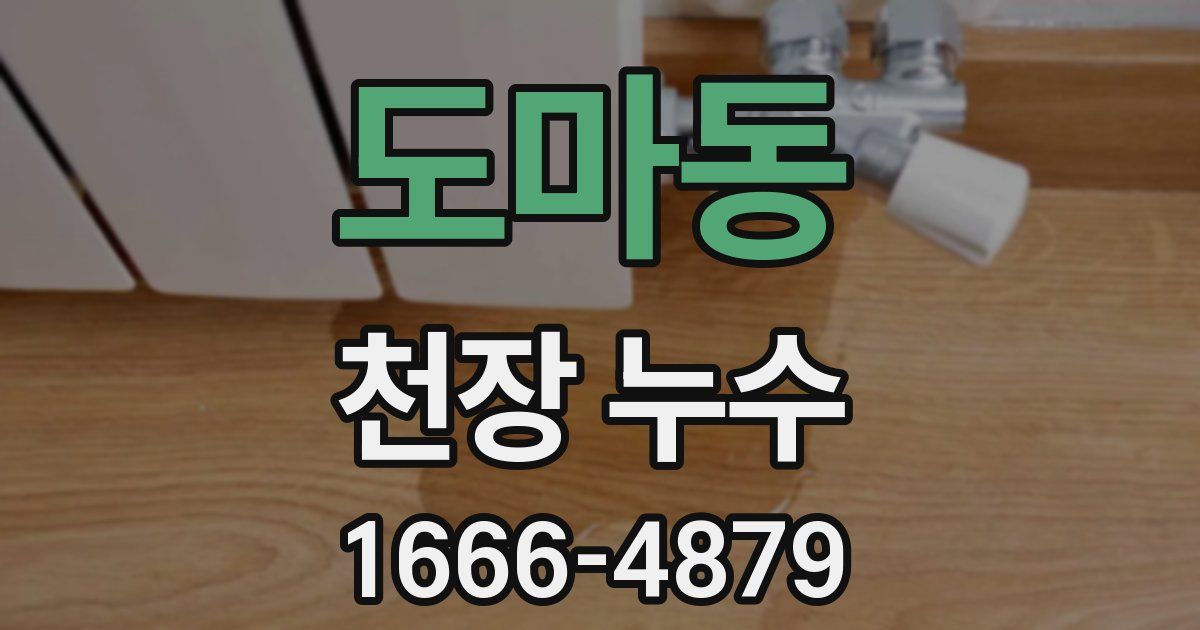 도마동 천장 누수