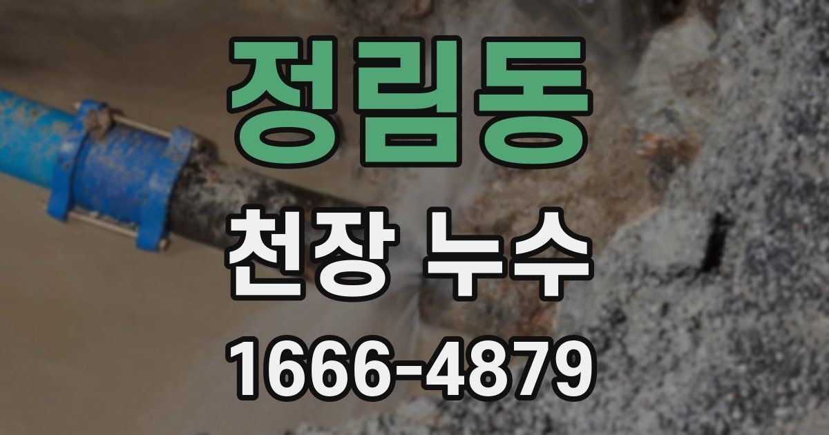 정림동 천장 누수