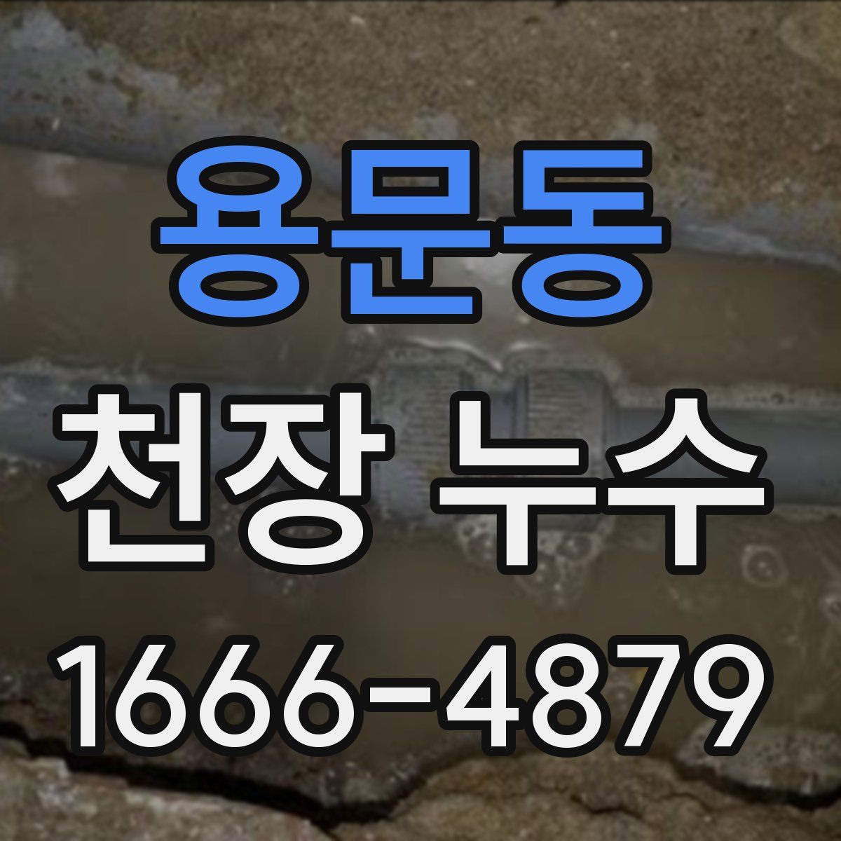 용문동 천장 누수