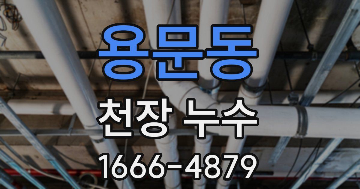 용문동 천장 누수