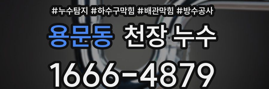 용문동 천장 누수