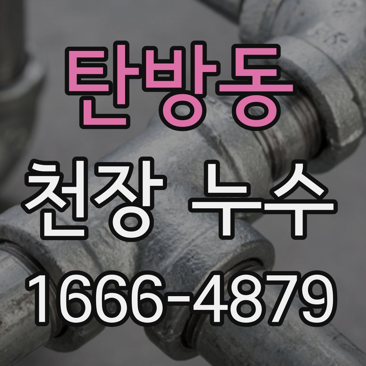 탄방동 천장 누수