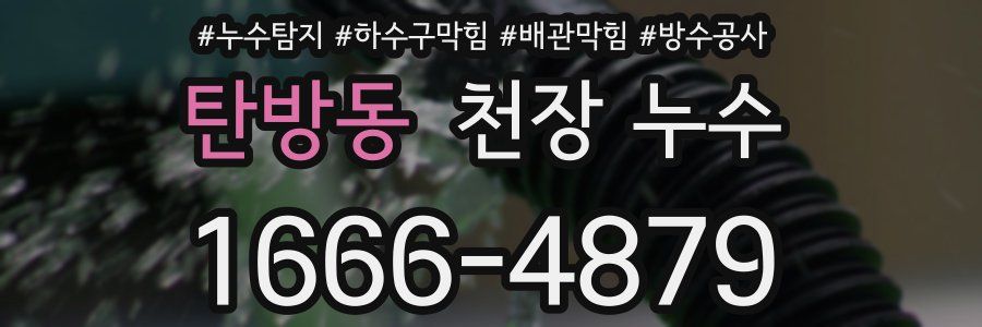 탄방동 천장 누수