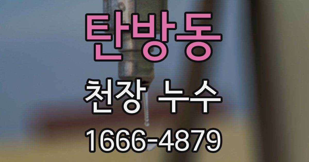 탄방동 천장 누수