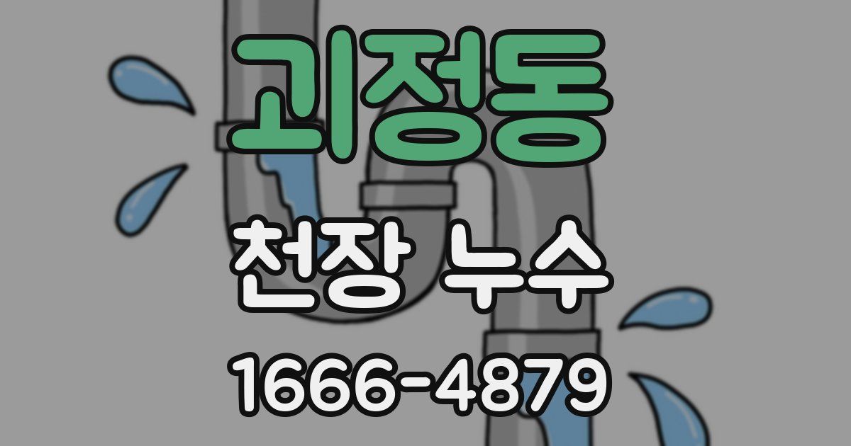 괴정동 천장 누수