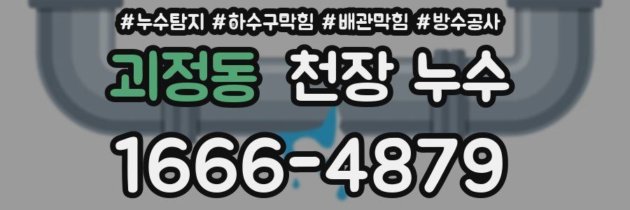 괴정동 천장 누수