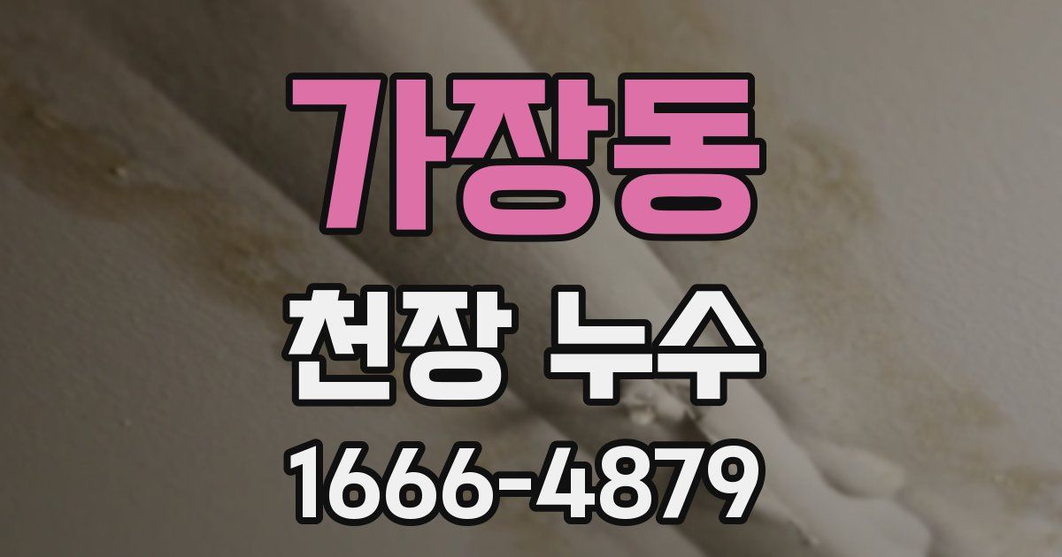 가장동 천장 누수