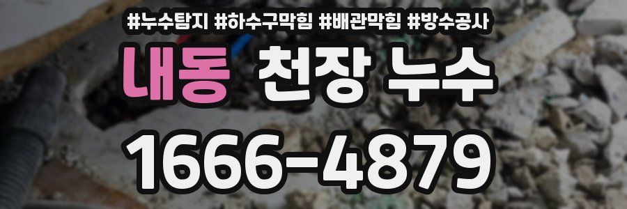 내동 천장 누수