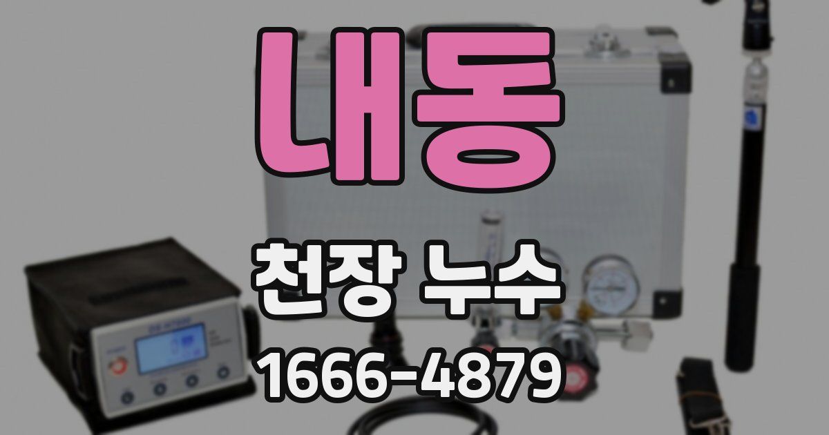 내동 천장 누수