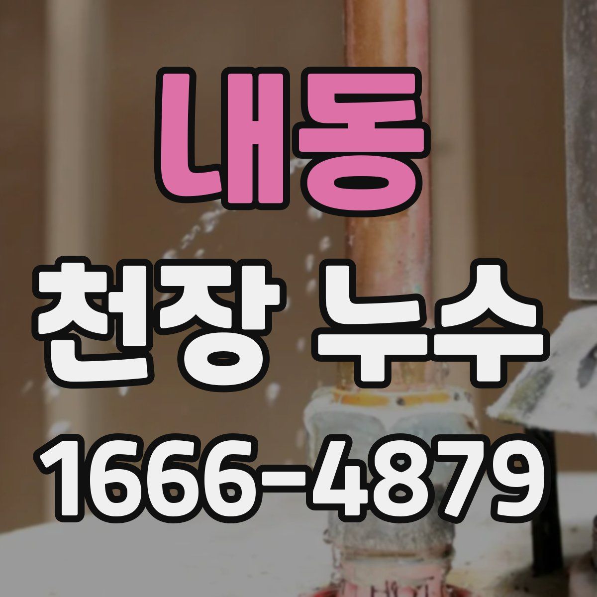 내동 천장 누수