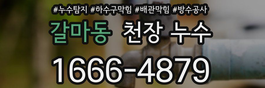 갈마동 천장 누수