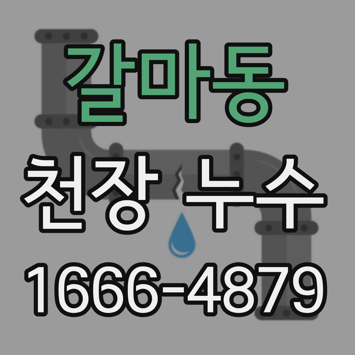 갈마동 천장 누수