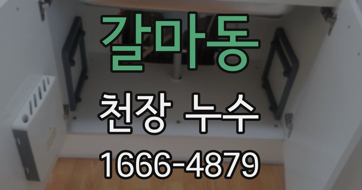 갈마동 천장 누수