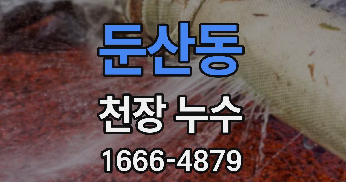 둔산동 천장 누수