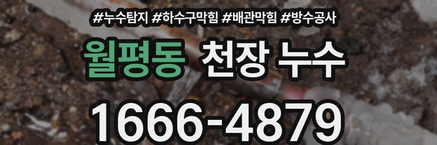 월평동 천장 누수