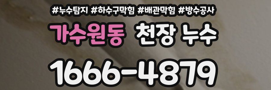 가수원동 천장 누수