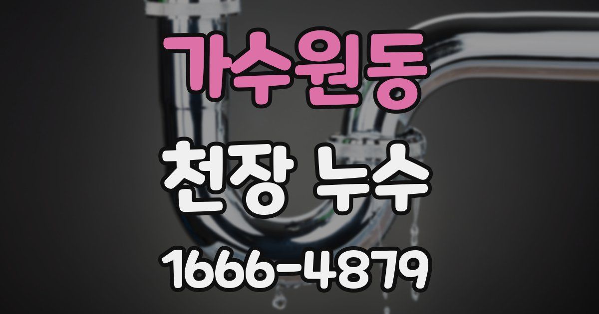 가수원동 천장 누수