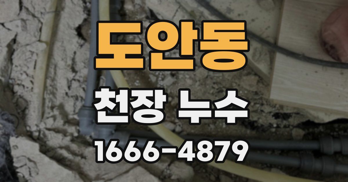 도안동 천장 누수