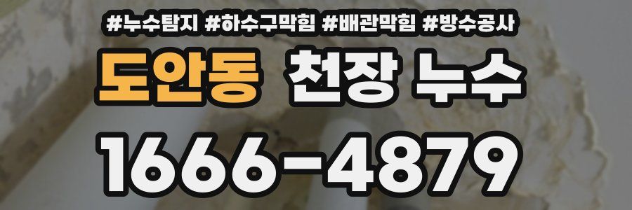 도안동 천장 누수