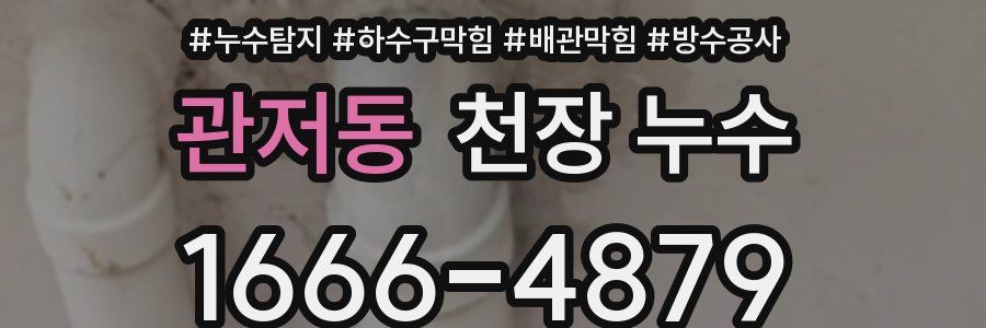 관저동 천장 누수