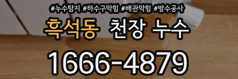 흑석동 천장 누수