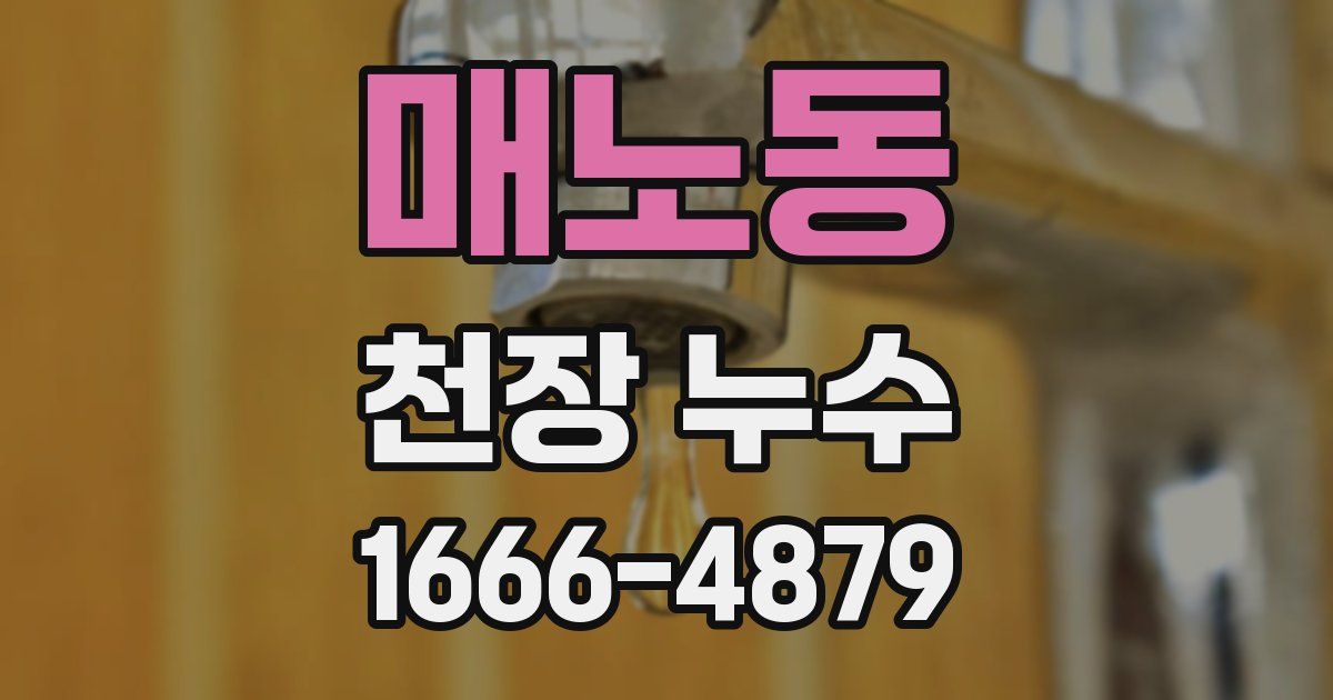 매노동 천장 누수