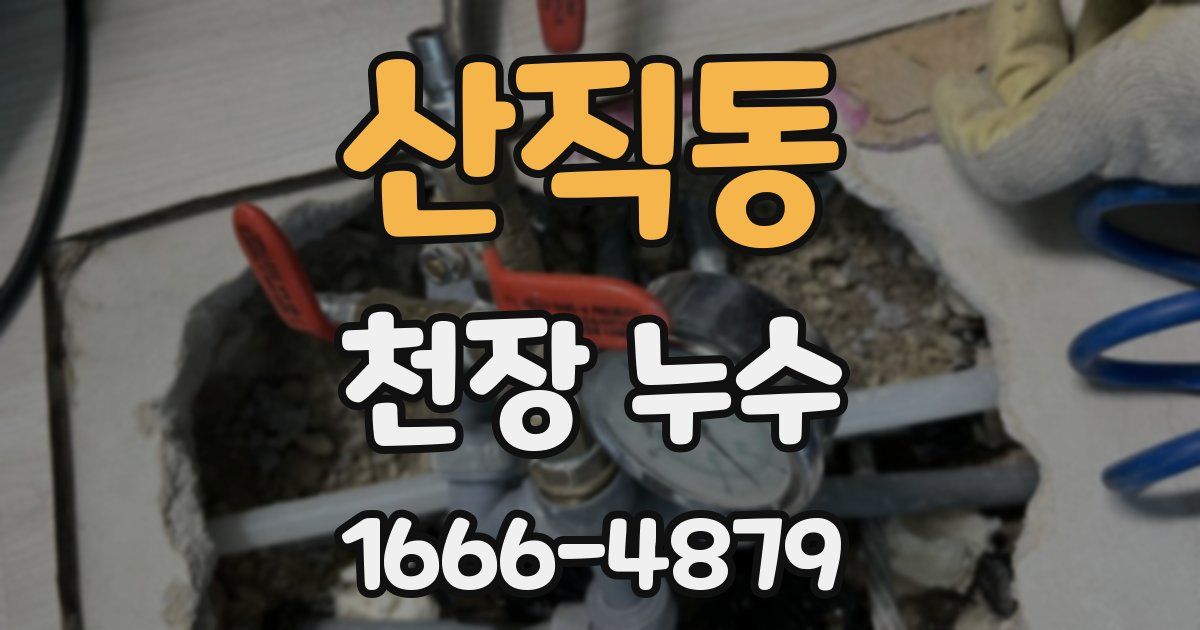 산직동 천장 누수