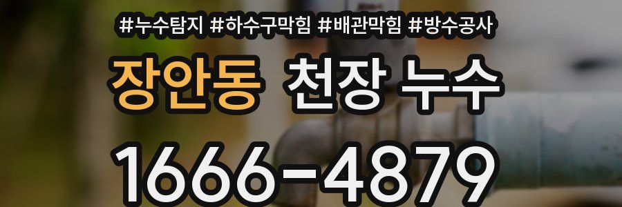 장안동 천장 누수