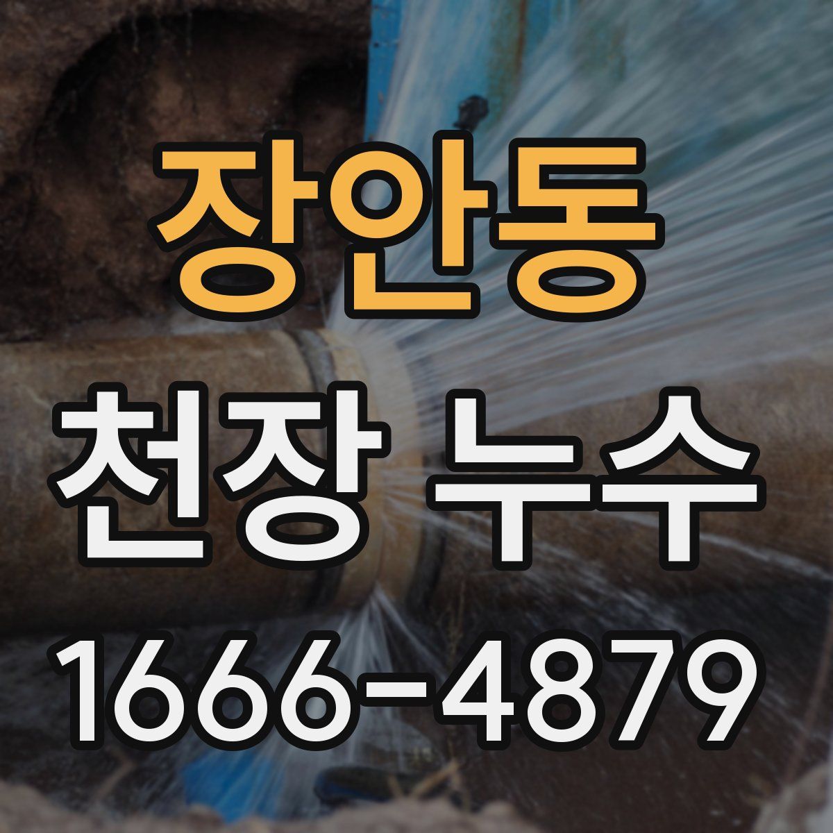장안동 천장 누수