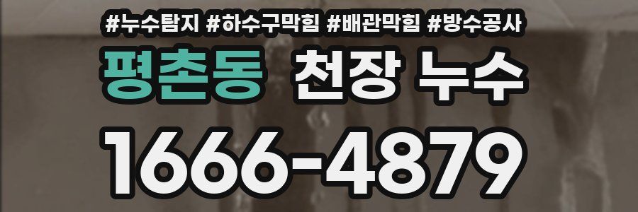 평촌동 천장 누수