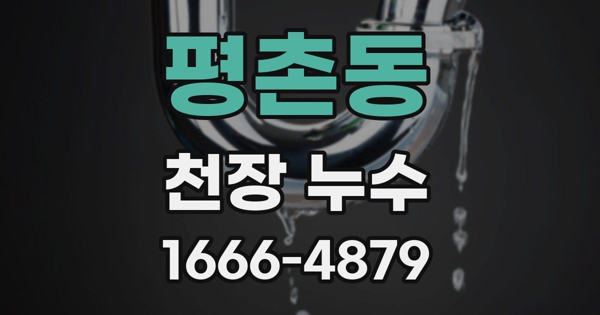 평촌동 천장 누수