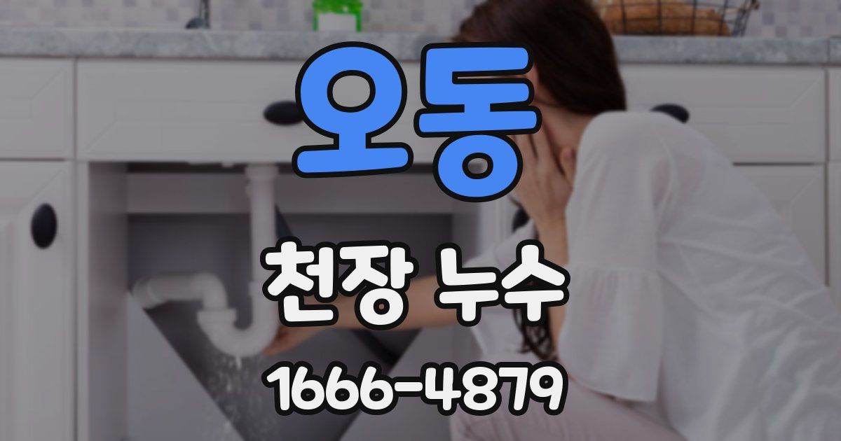 오동 천장 누수