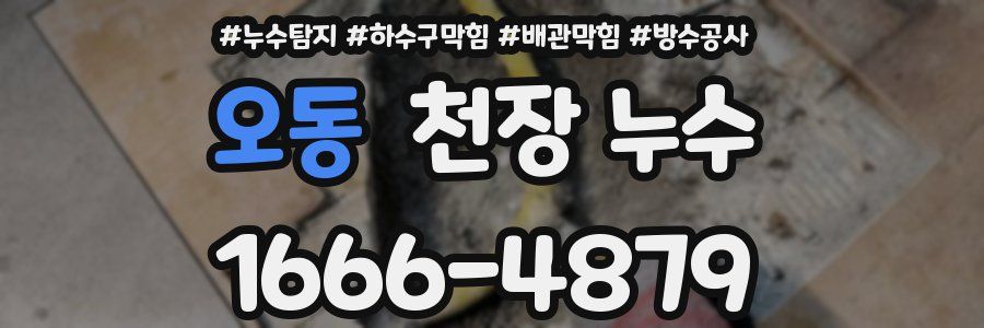 오동 천장 누수