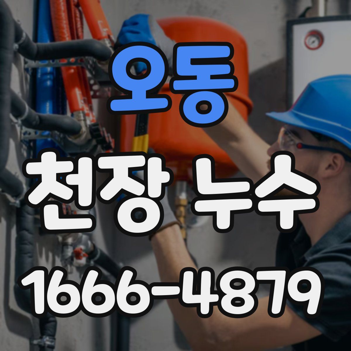 오동 천장 누수