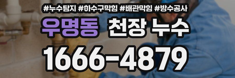 우명동 천장 누수