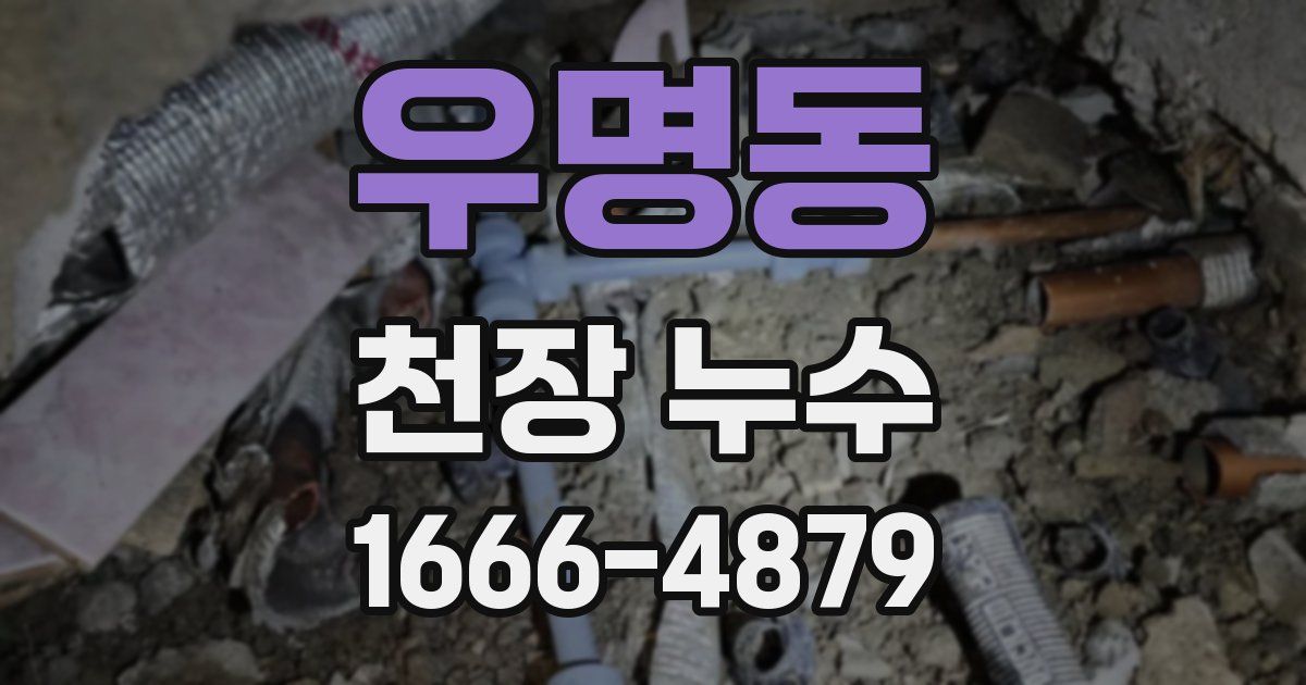 우명동 천장 누수