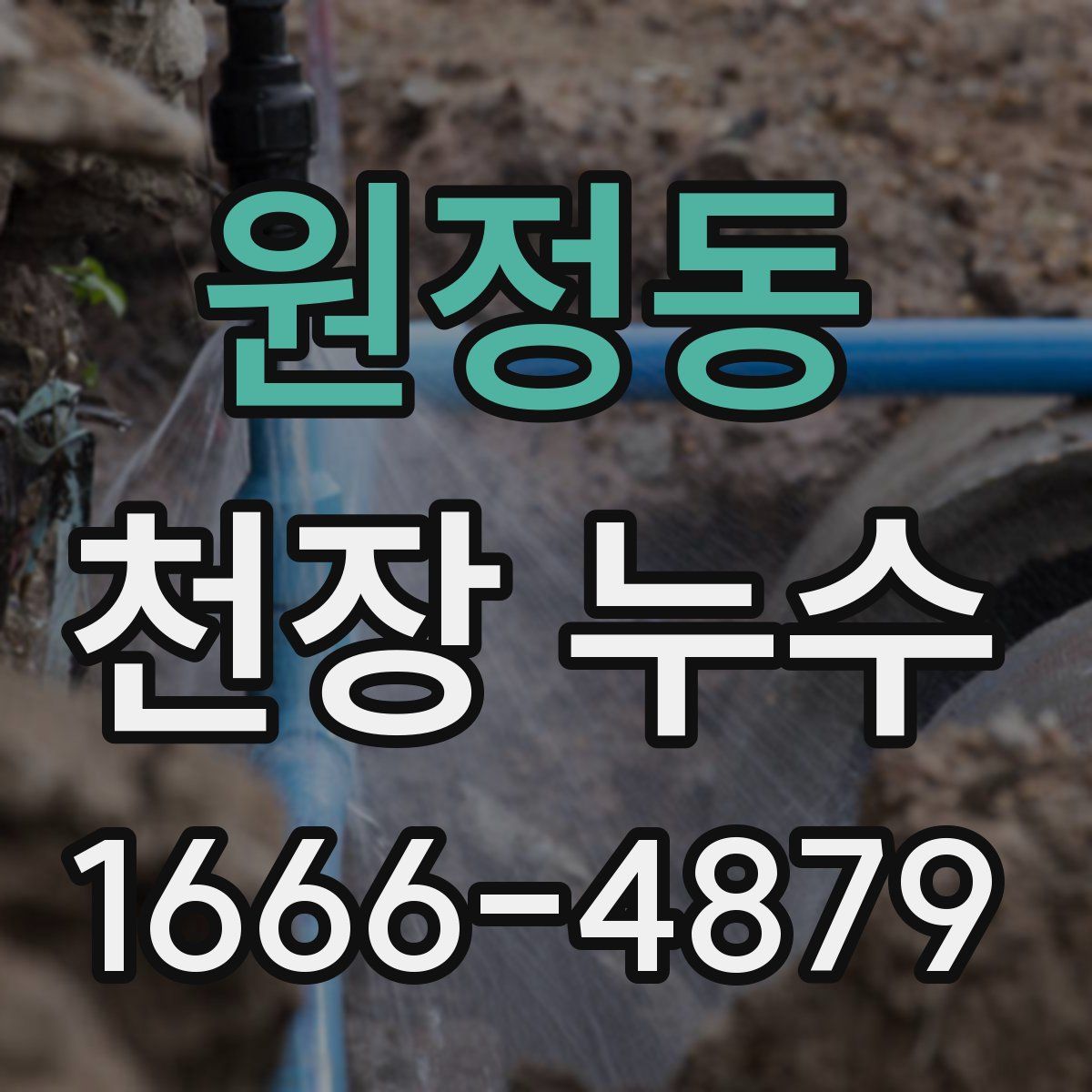 원정동 천장 누수