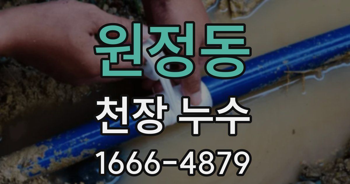 원정동 천장 누수