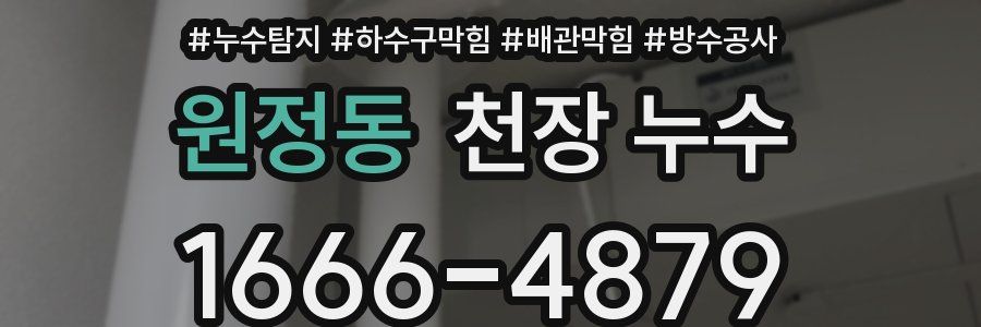 원정동 천장 누수