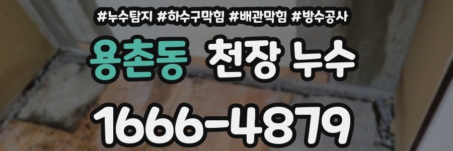 용촌동 천장 누수