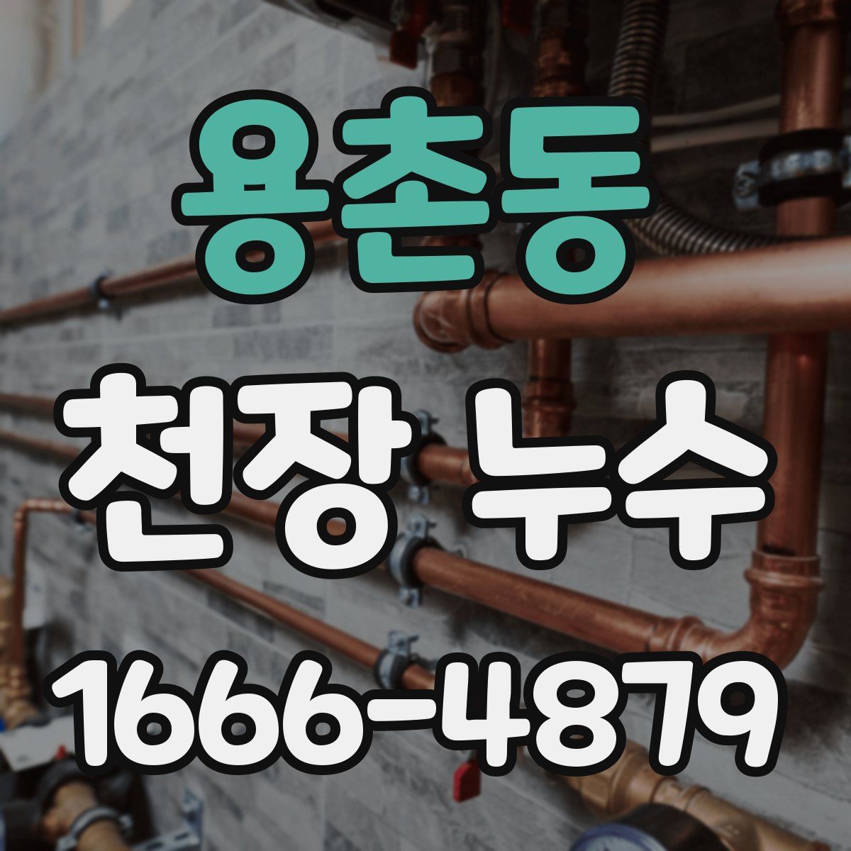 용촌동 천장 누수