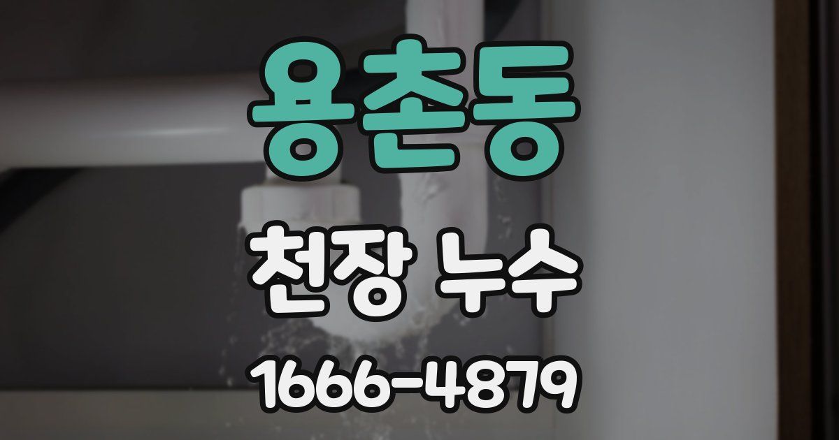 용촌동 천장 누수