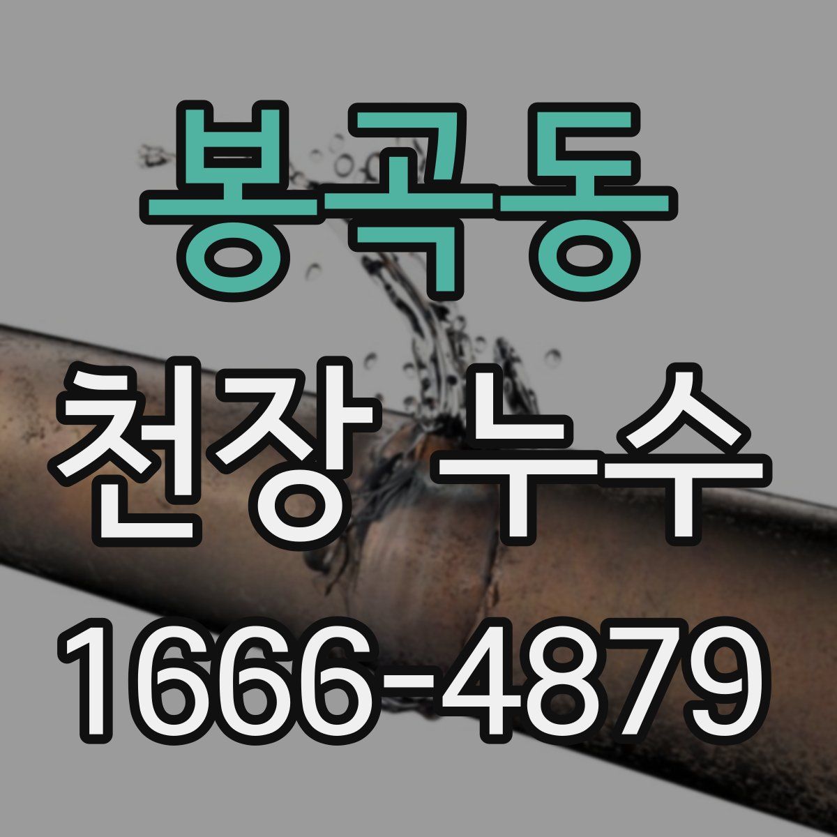 봉곡동 천장 누수