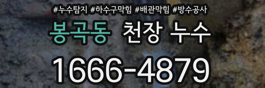 봉곡동 천장 누수