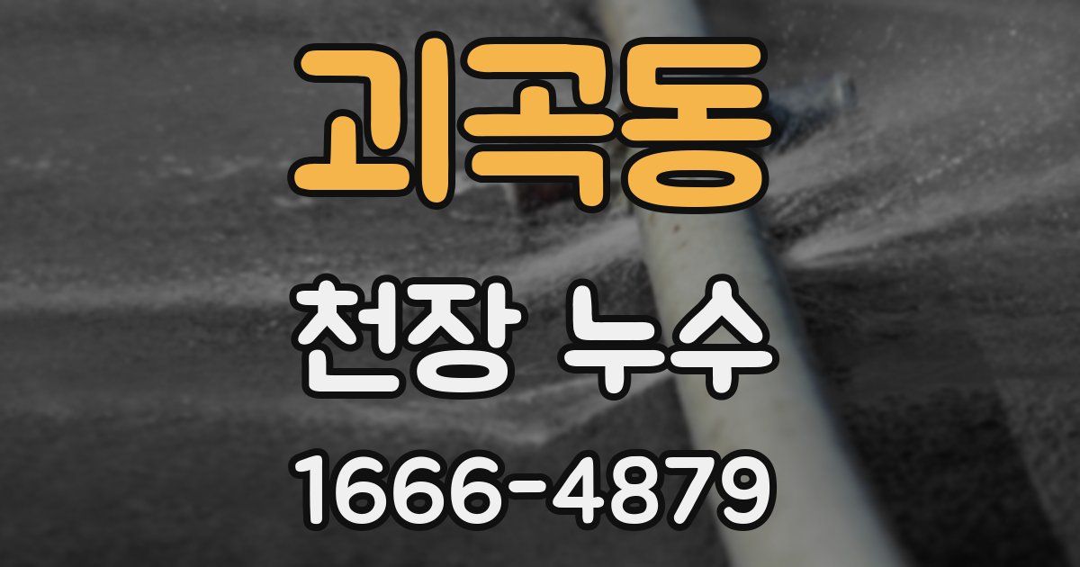 괴곡동 천장 누수