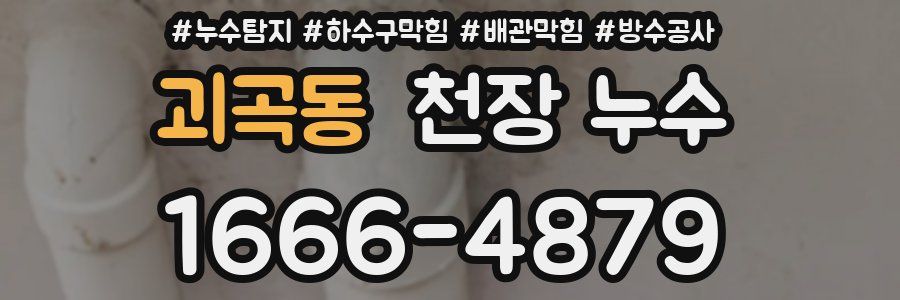 괴곡동 천장 누수