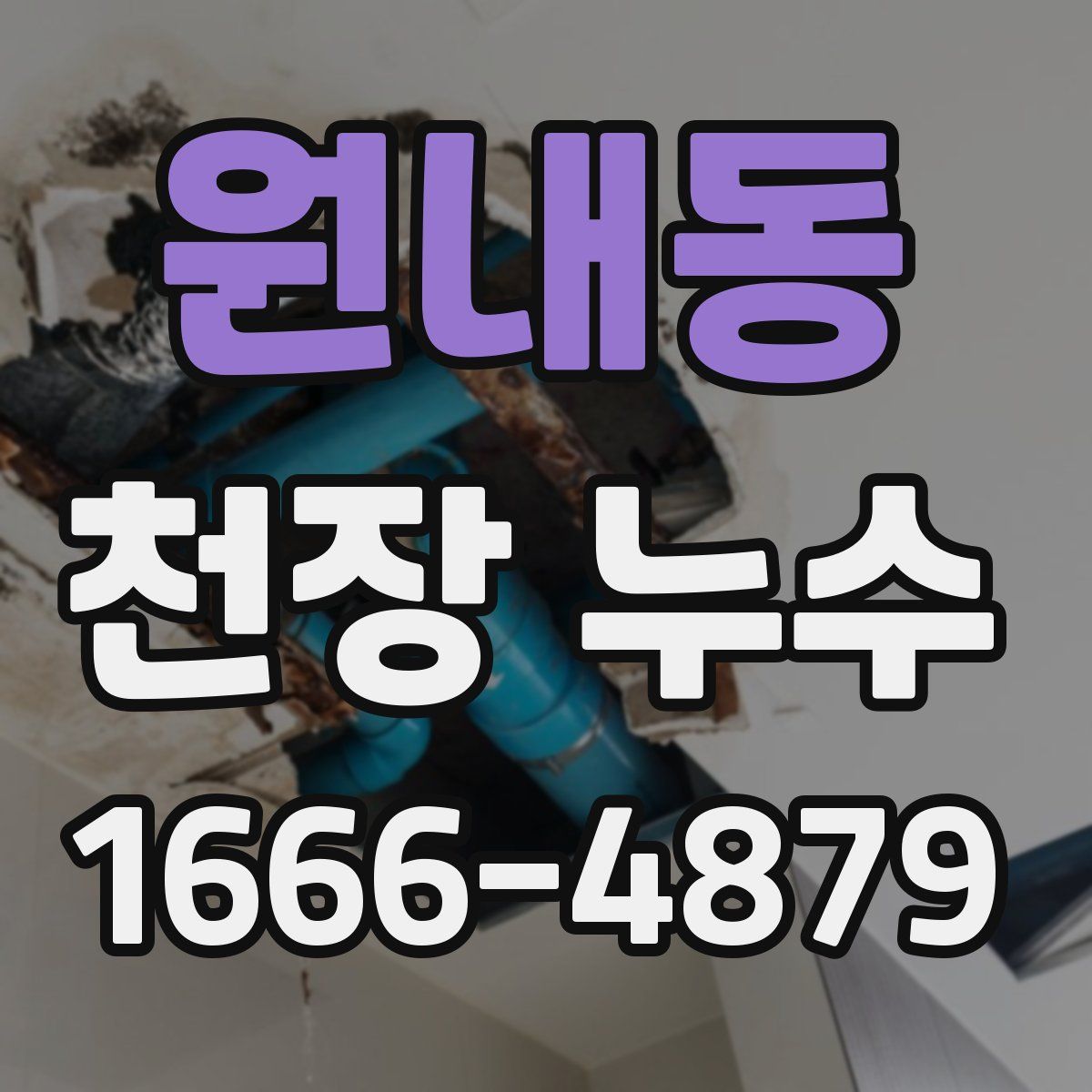원내동 천장 누수