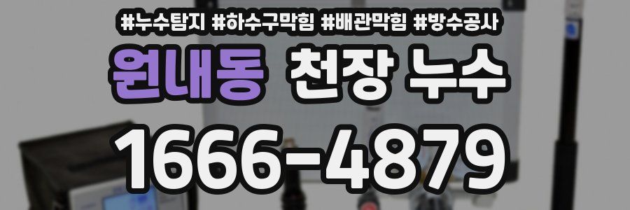 원내동 천장 누수